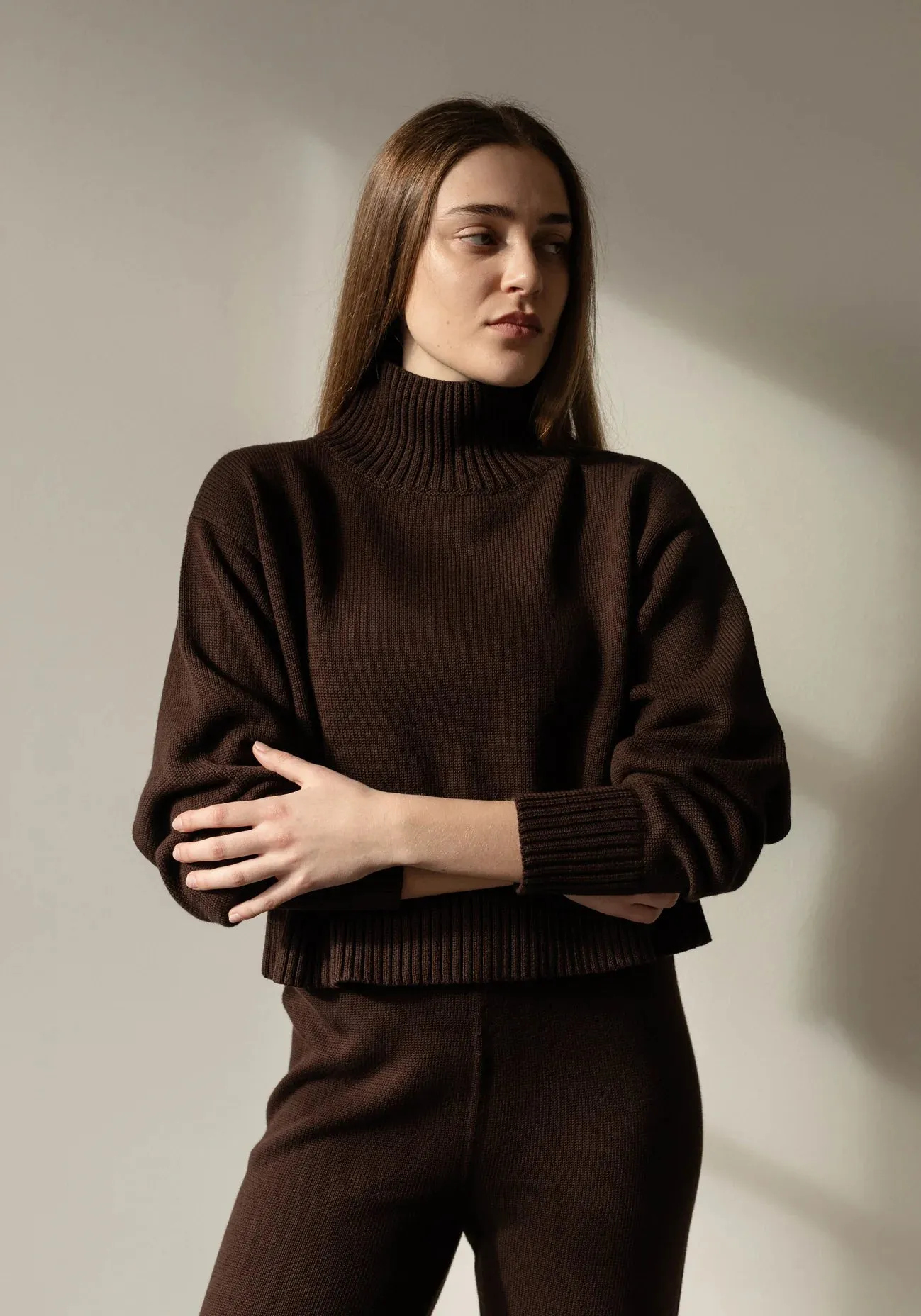 Crop Turtleneck