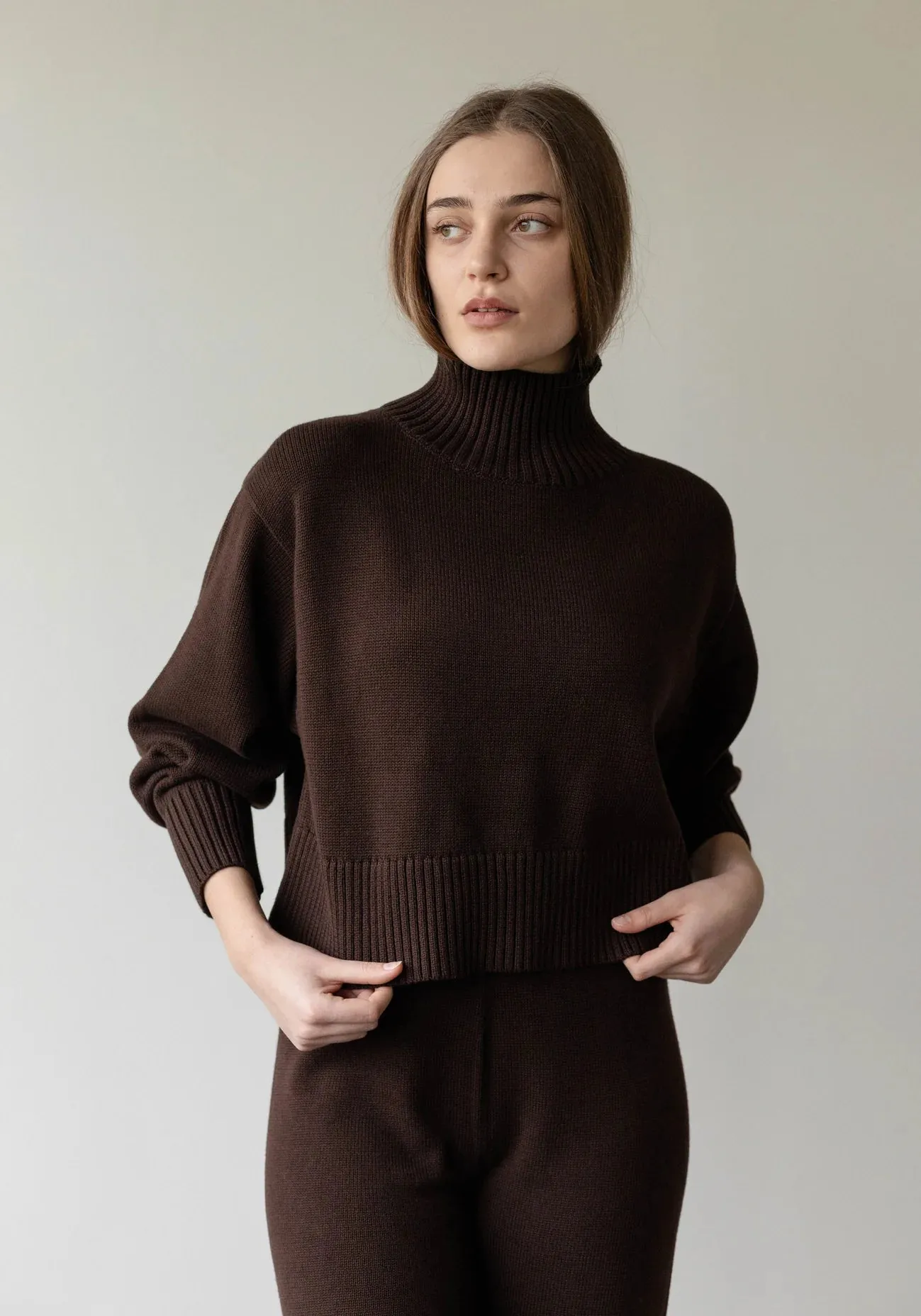Crop Turtleneck