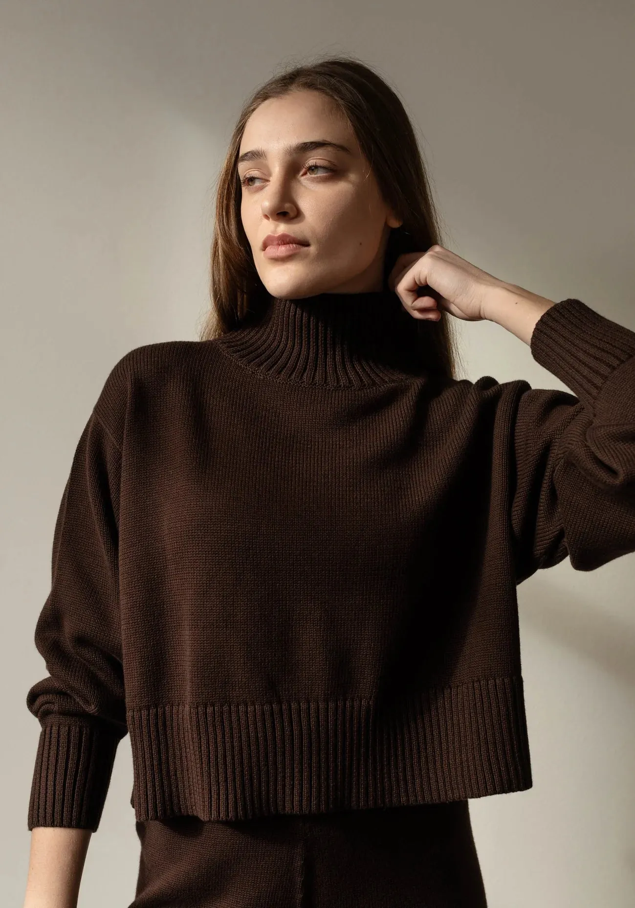 Crop Turtleneck