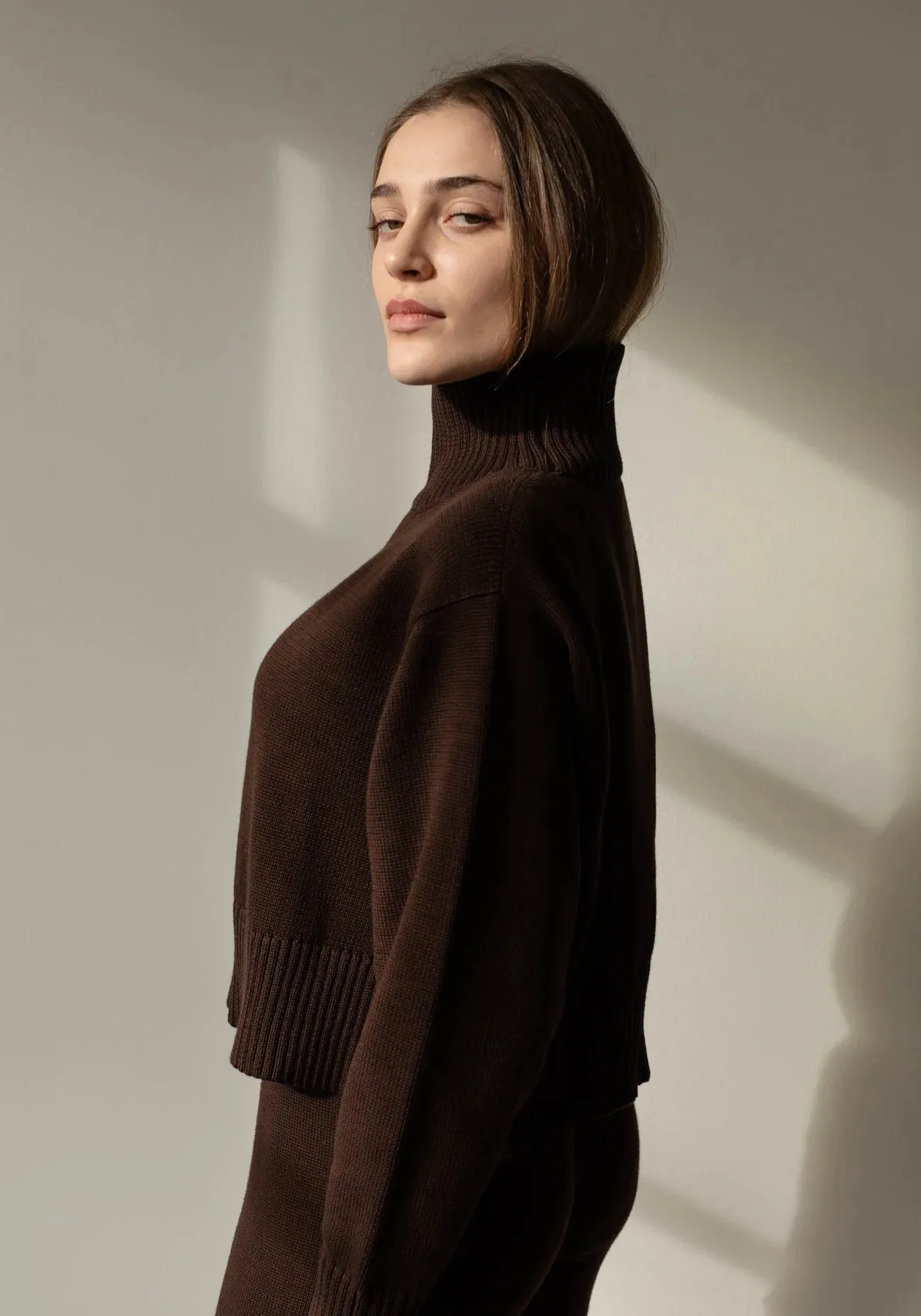 Crop Turtleneck