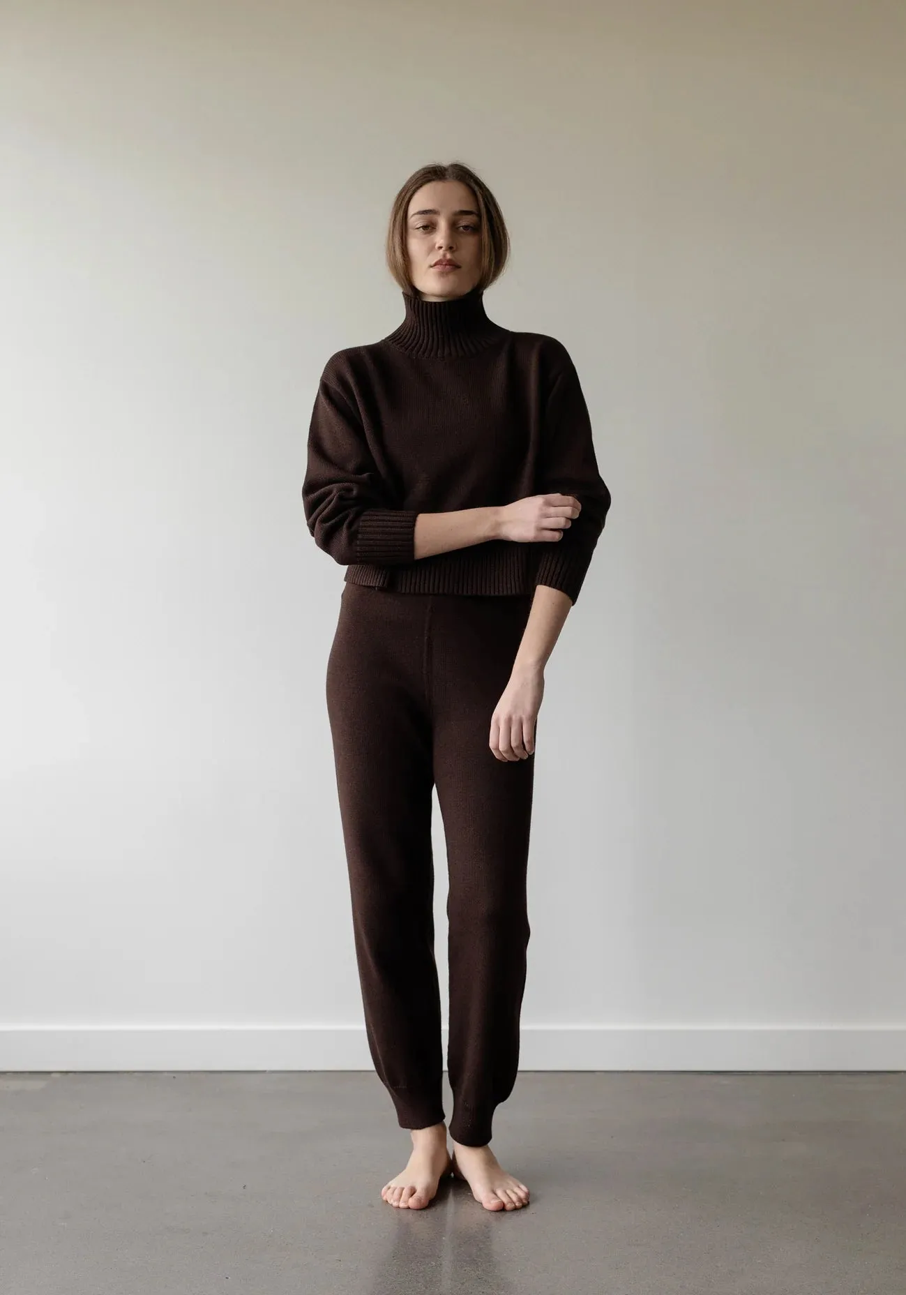 Crop Turtleneck