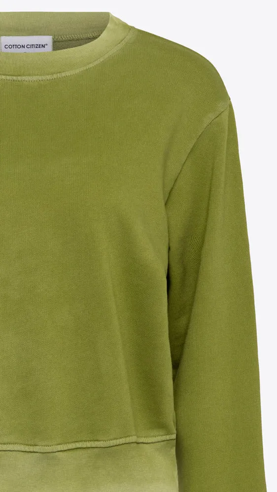 Milan Crew - Vintage Matcha