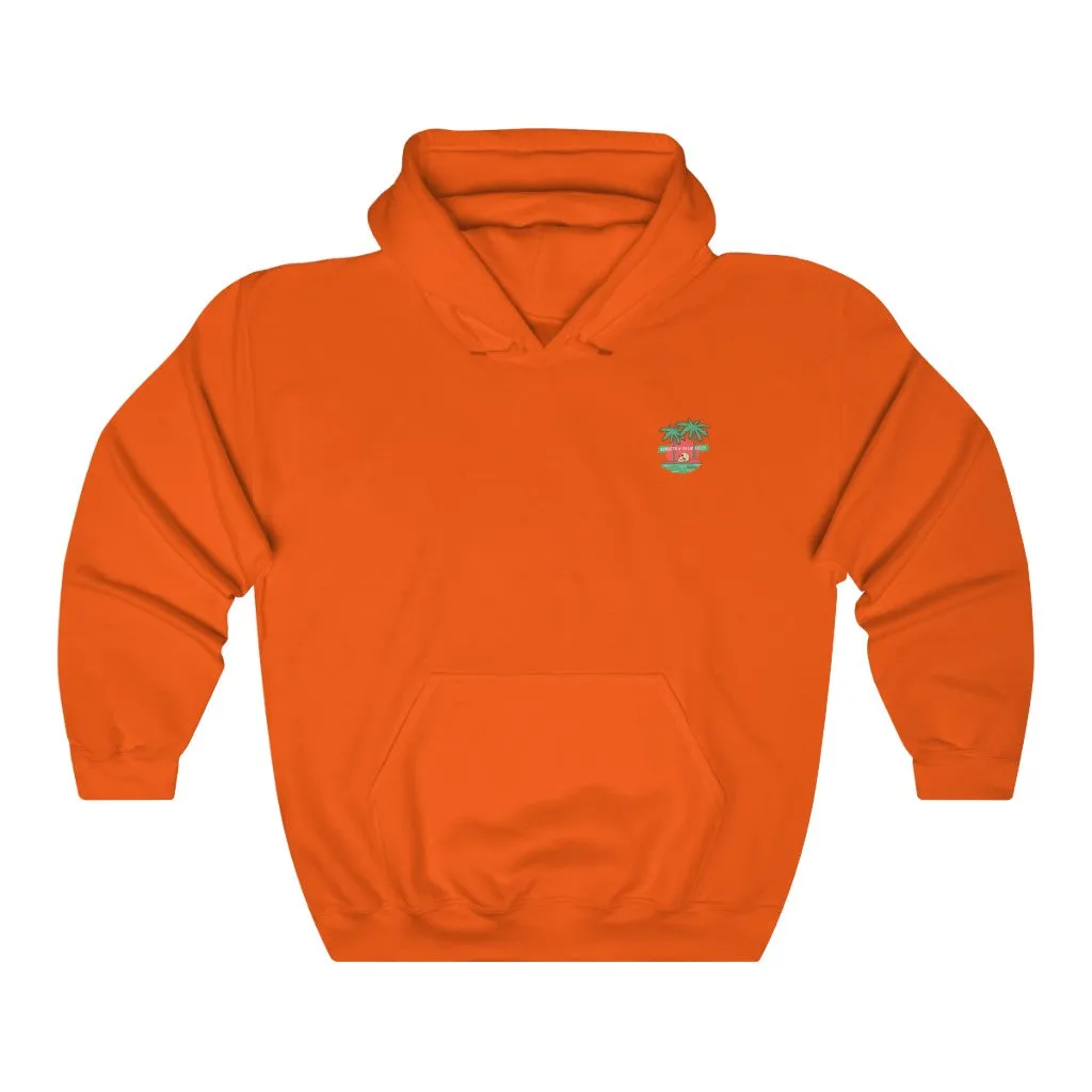 Pirate Vibes for Life Hoodie