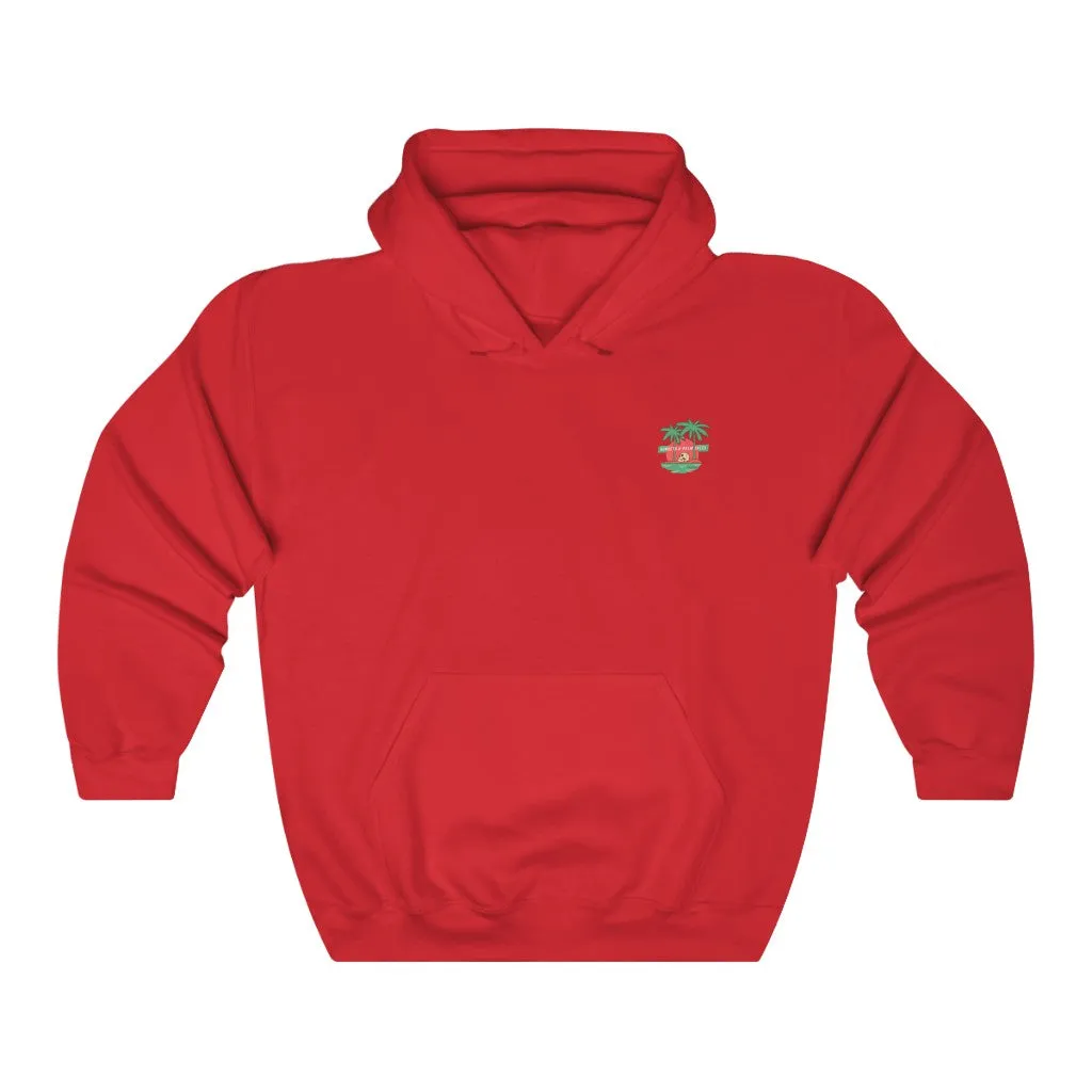 Pirate Vibes for Life Hoodie