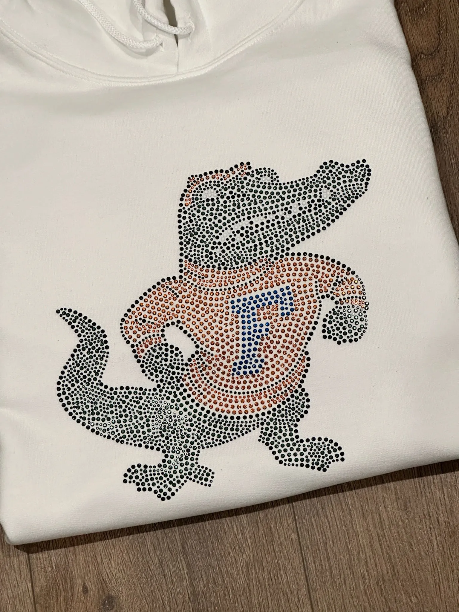 Rhinestone Mascot Hoodie