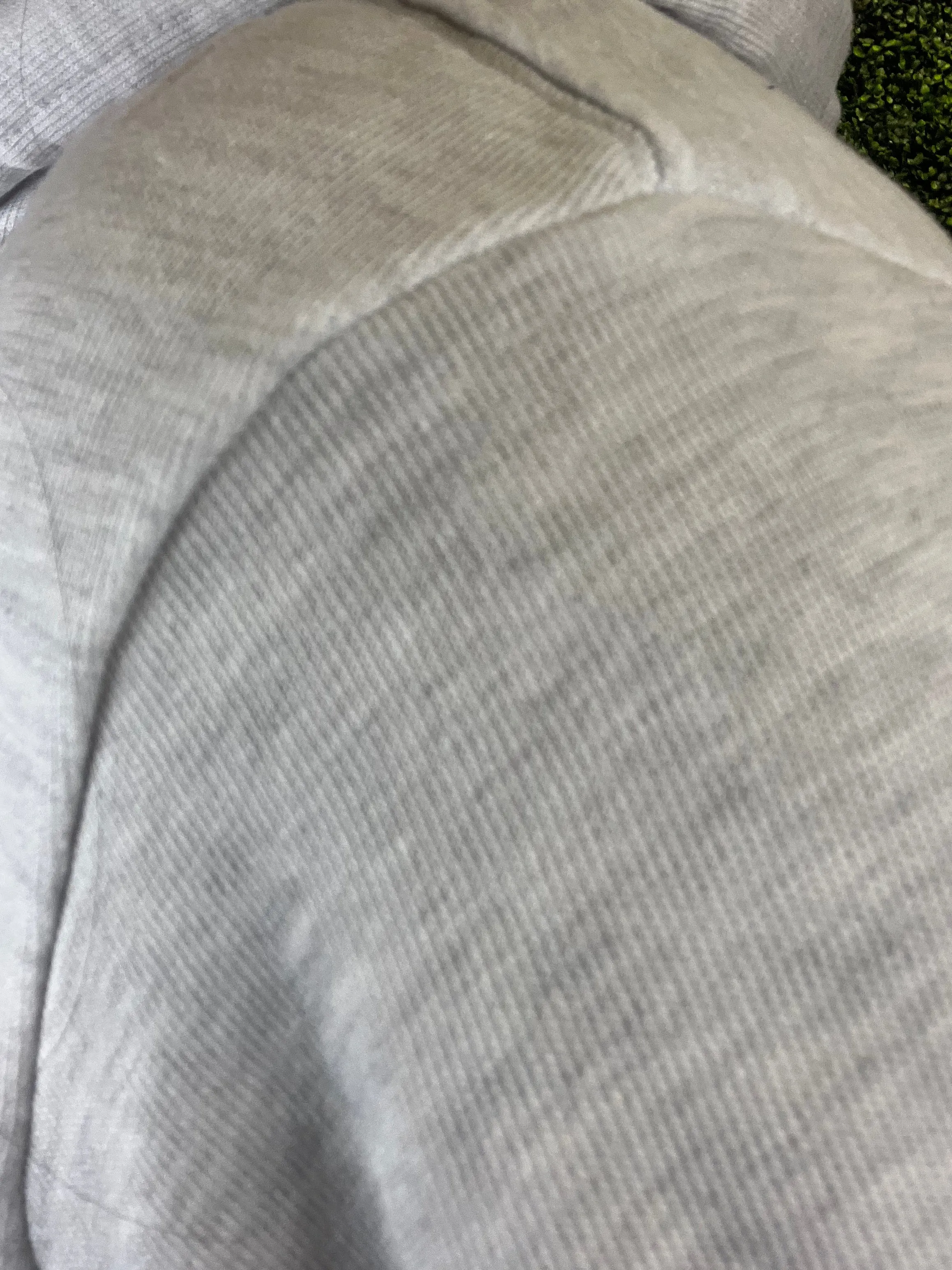 SD Sweatshirt